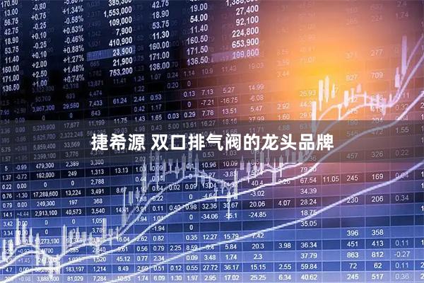 捷希源 双口排气阀的龙头品牌