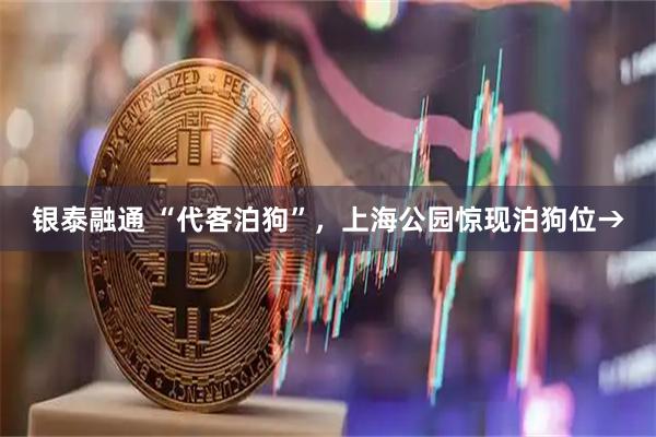 银泰融通 “代客泊狗”，上海公园惊现泊狗位→