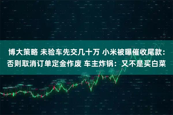 博大策略 未验车先交几十万 小米被曝催收尾款：否则取消订单定金作废 车主炸锅：又不是买白菜