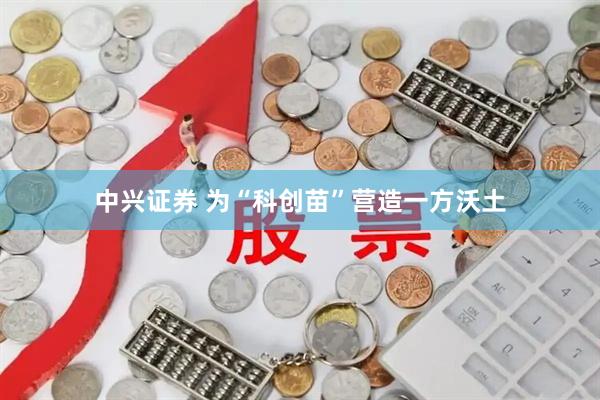 中兴证券 为“科创苗”营造一方沃土
