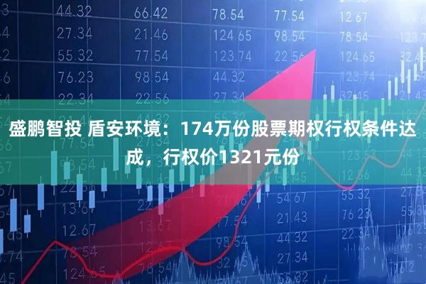 盛鹏智投 盾安环境：174万份股票期权行权条件达成，行权价1321元份