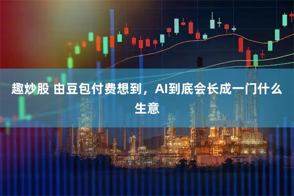 趣炒股 由豆包付费想到，AI到底会长成一门什么生意
